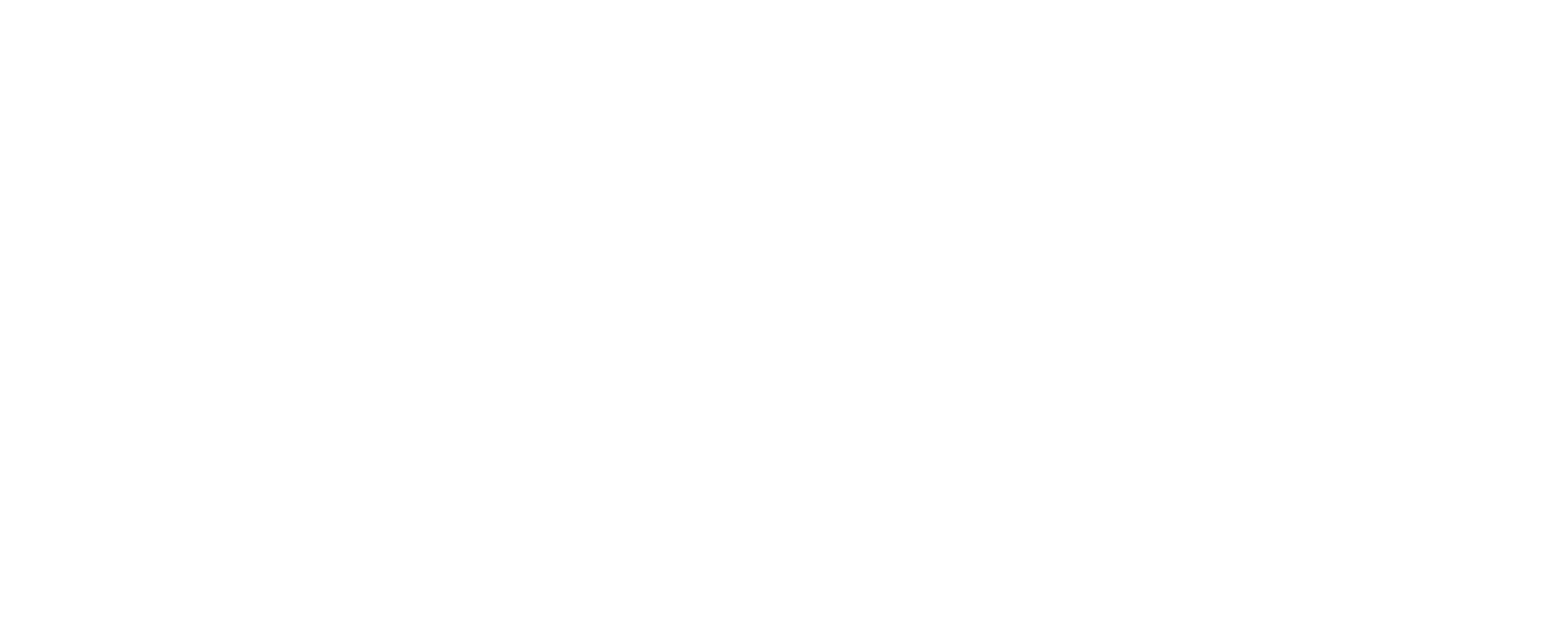 splunk logo white